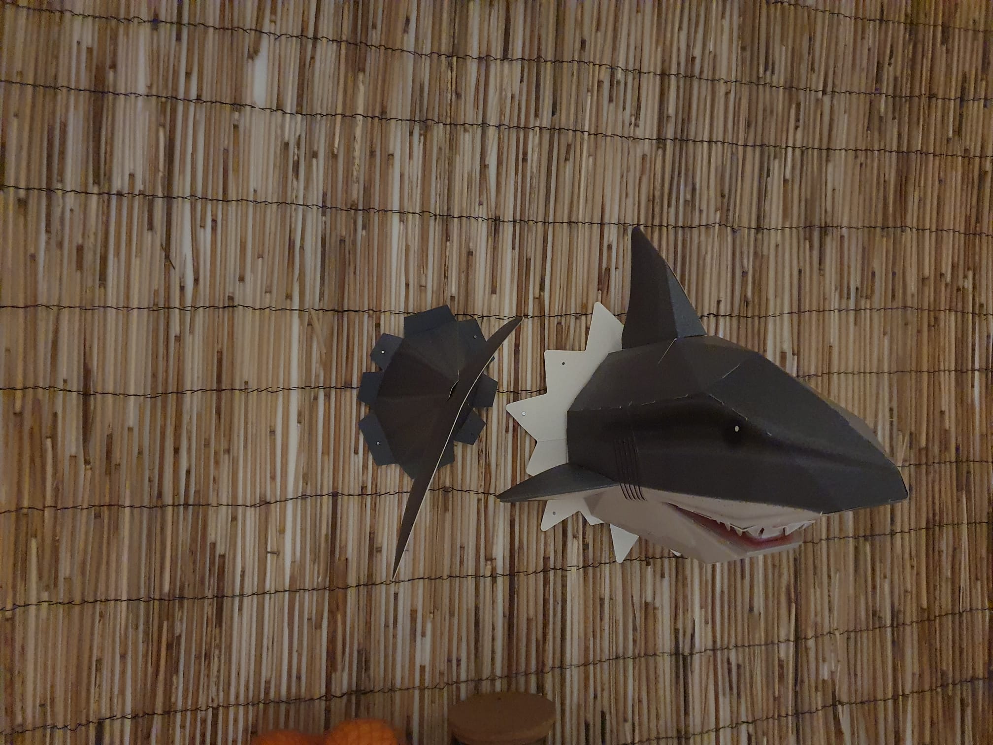 Snappy Shark Model Photo 2